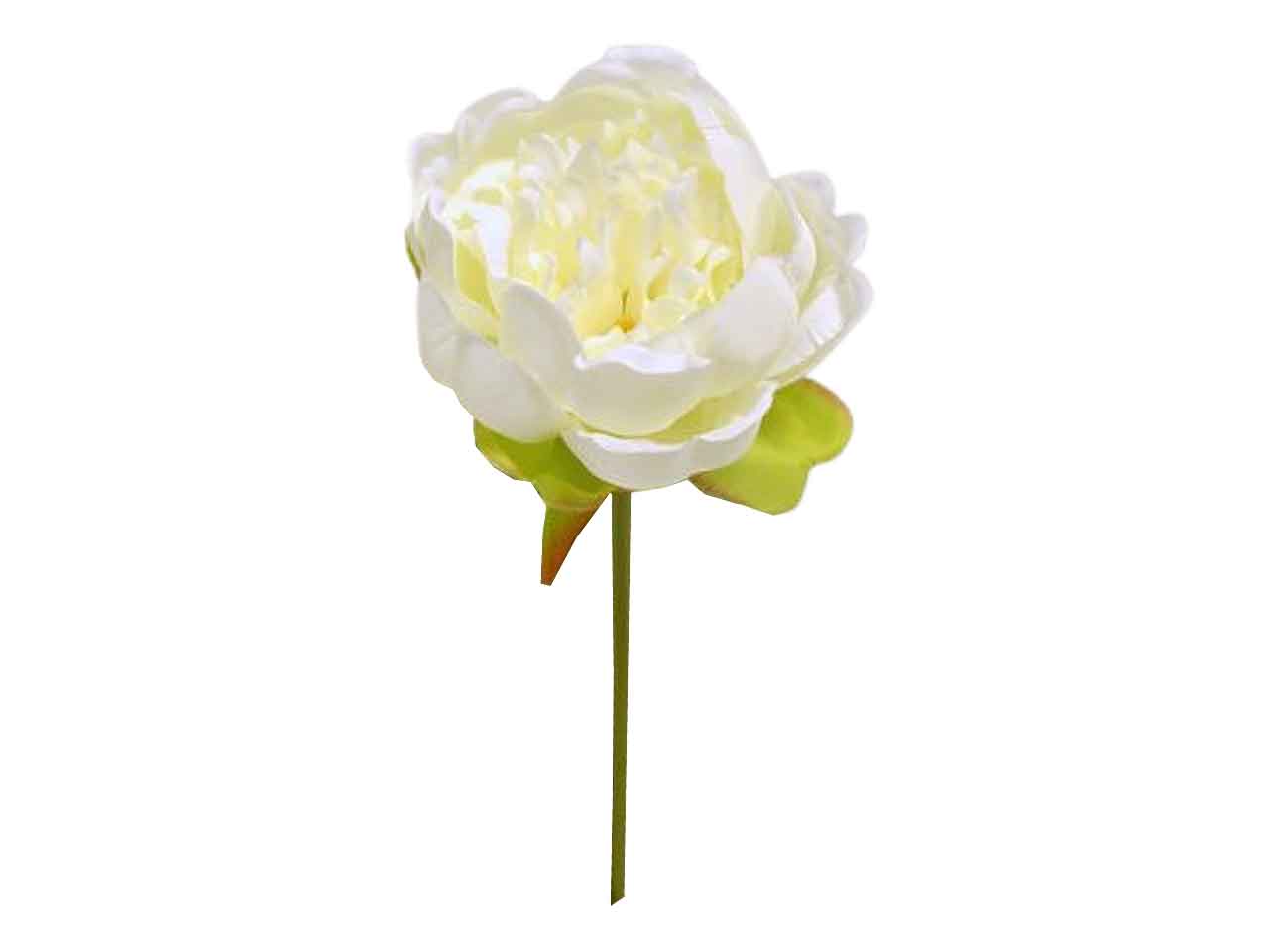 Peonia spruzzata 27cm crema ds001883