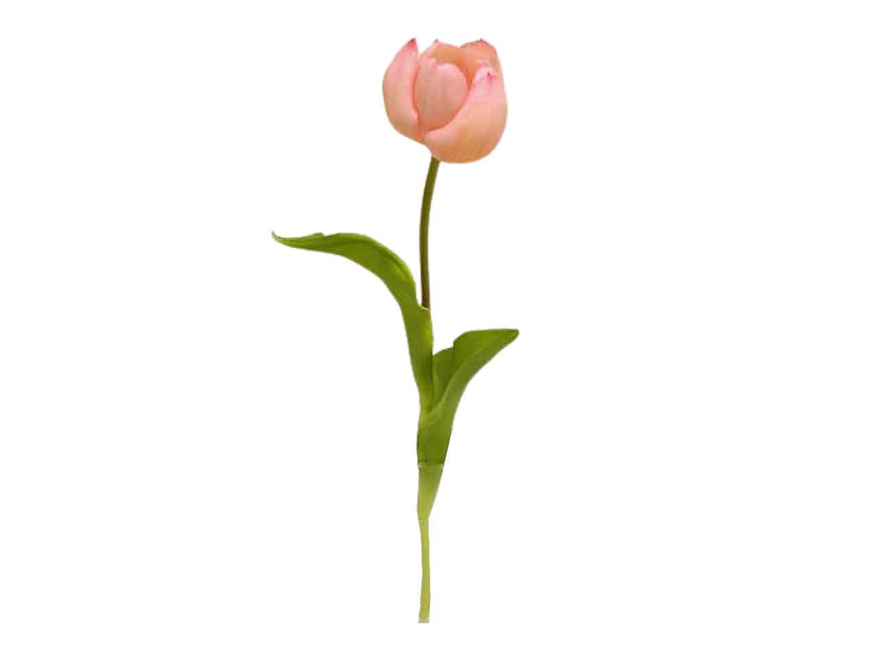 Tulipano spruzzata 49cm rosa ds001932