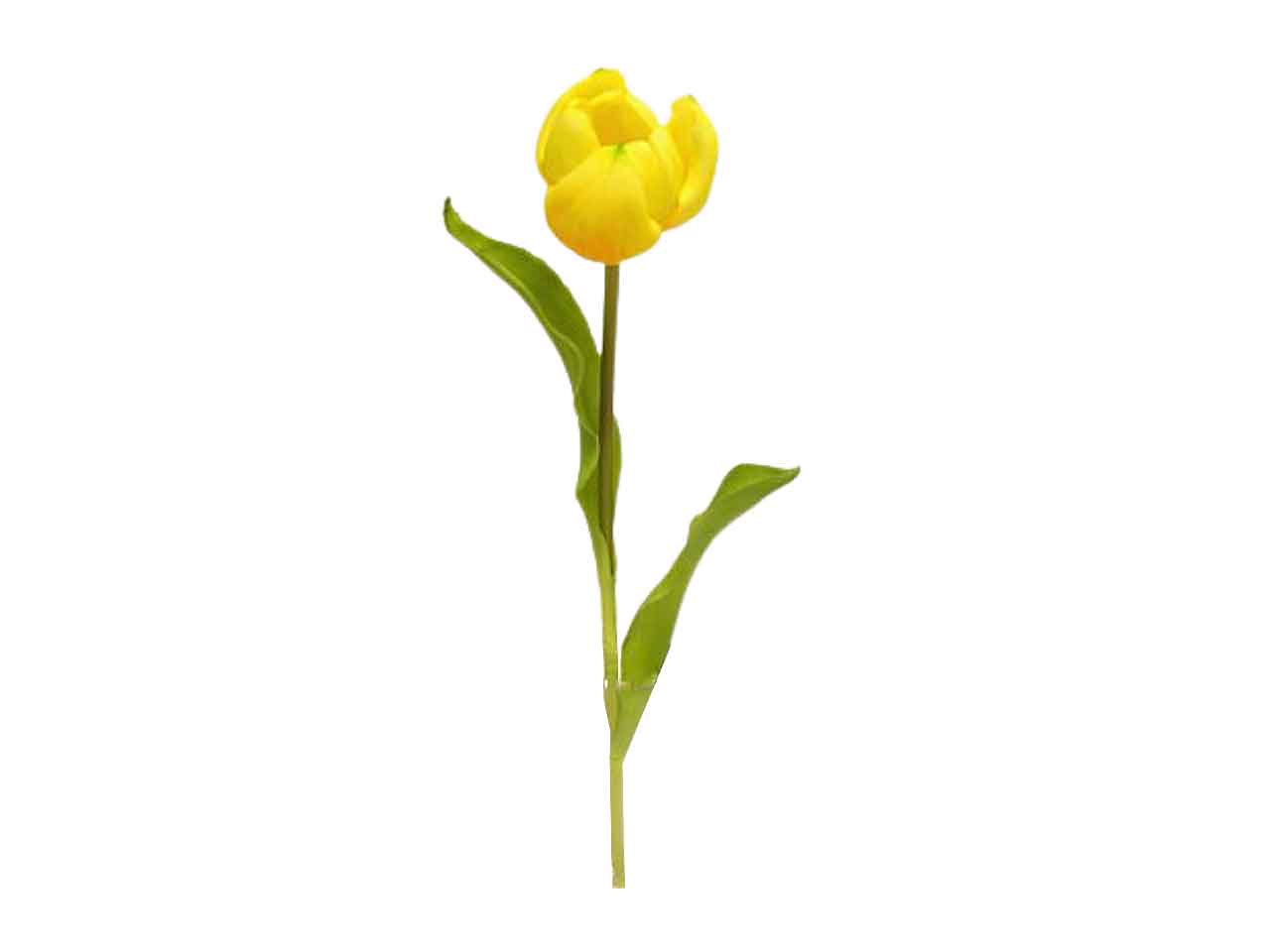 Tulipano spruzzata 49cm giallo ds001932