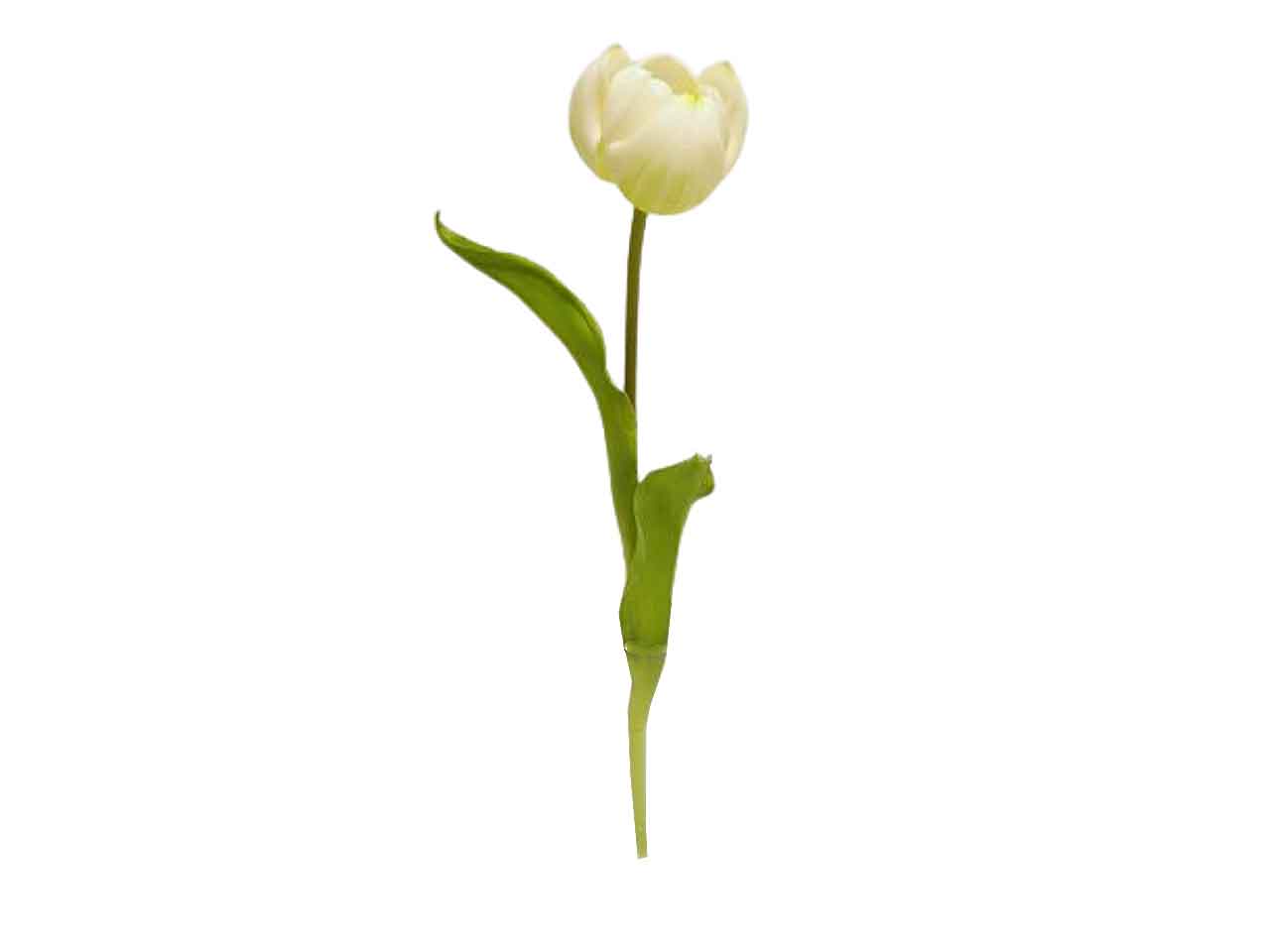 Tulipano spruzzata 49cm crema ds001932