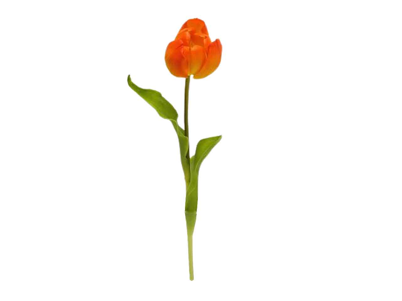 Tulipano spruzzata 49cm arancio ds001932