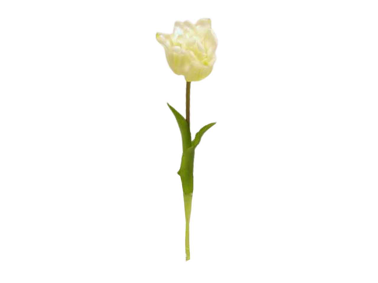Tulipano 46cm crema ds001935