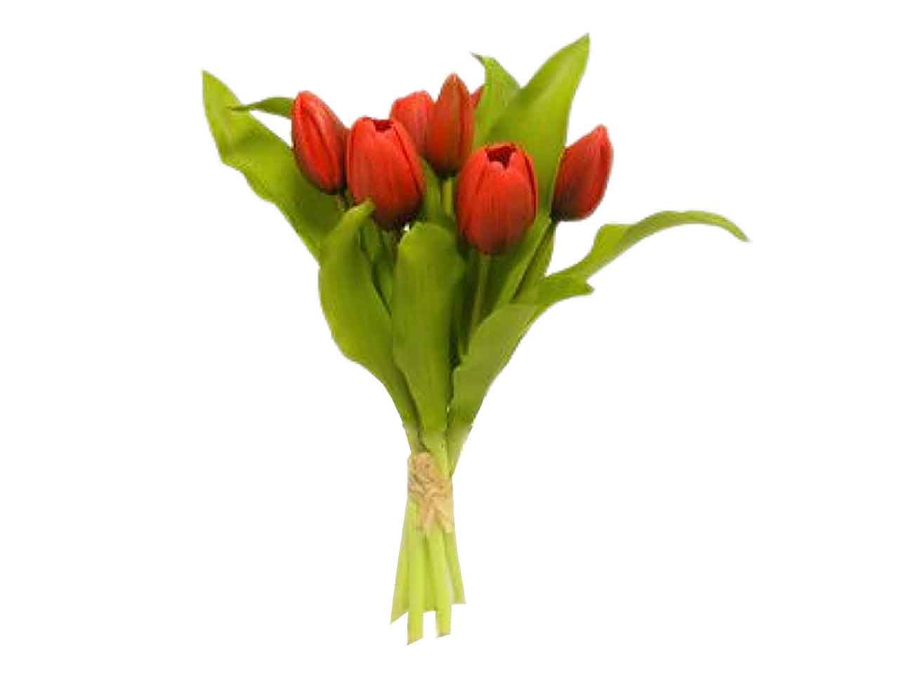 Mazzo di tulipani x 7 colore rosso 30cm