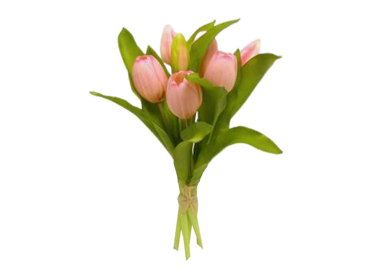 Mazzo di tulipani x 7 colore rosa 30cm
