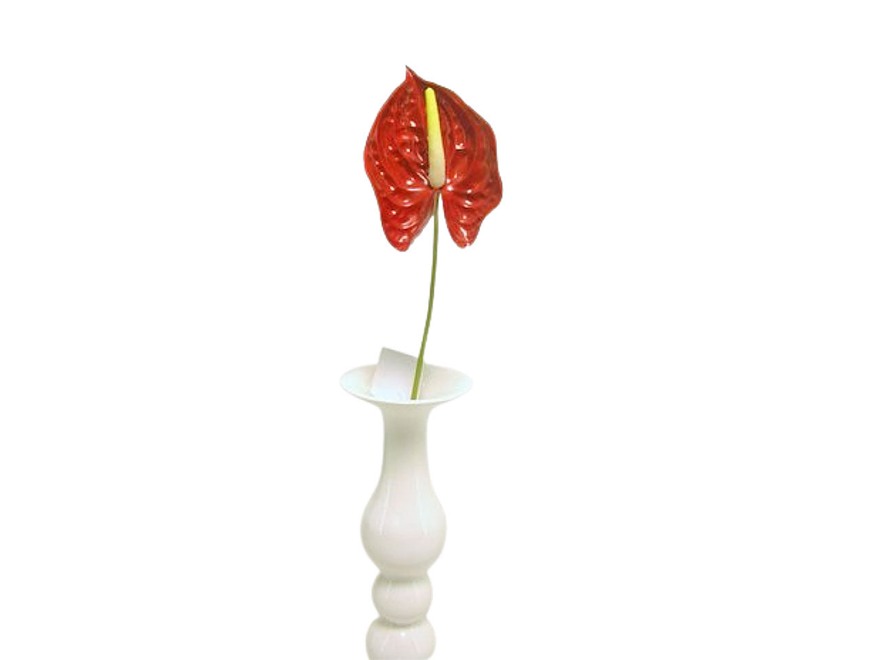 Fiore di anthurium spruzzato colore naturale 72cm
