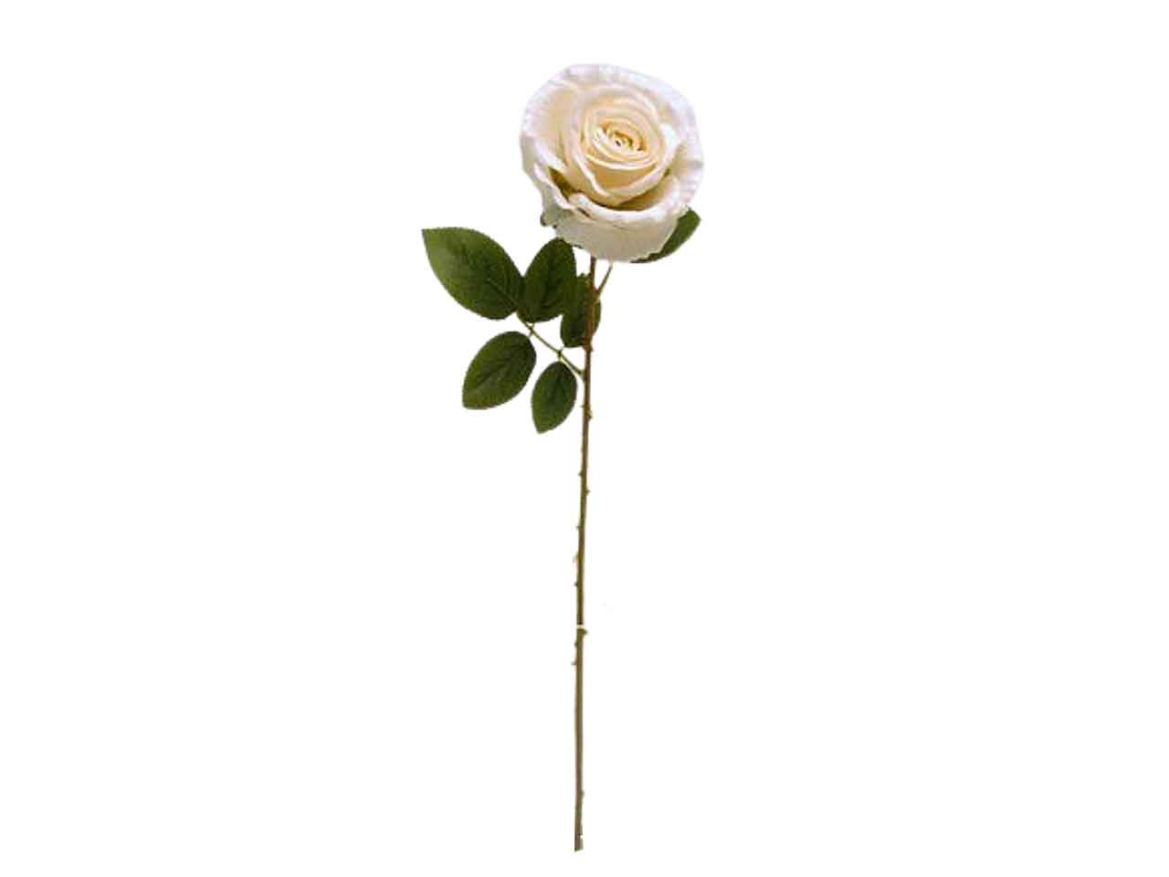 Rosa singola 65cm crema ds002039