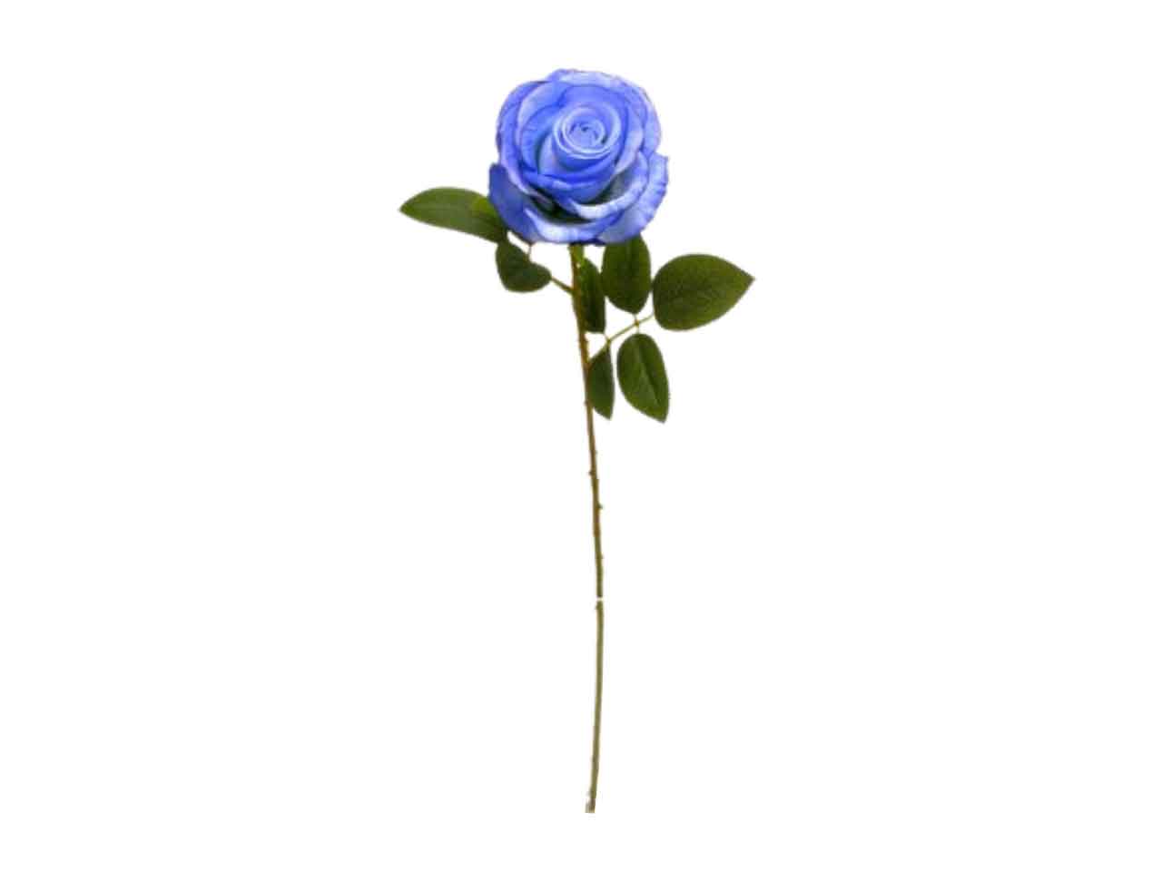 Rosa singola 65cm blu ds002039