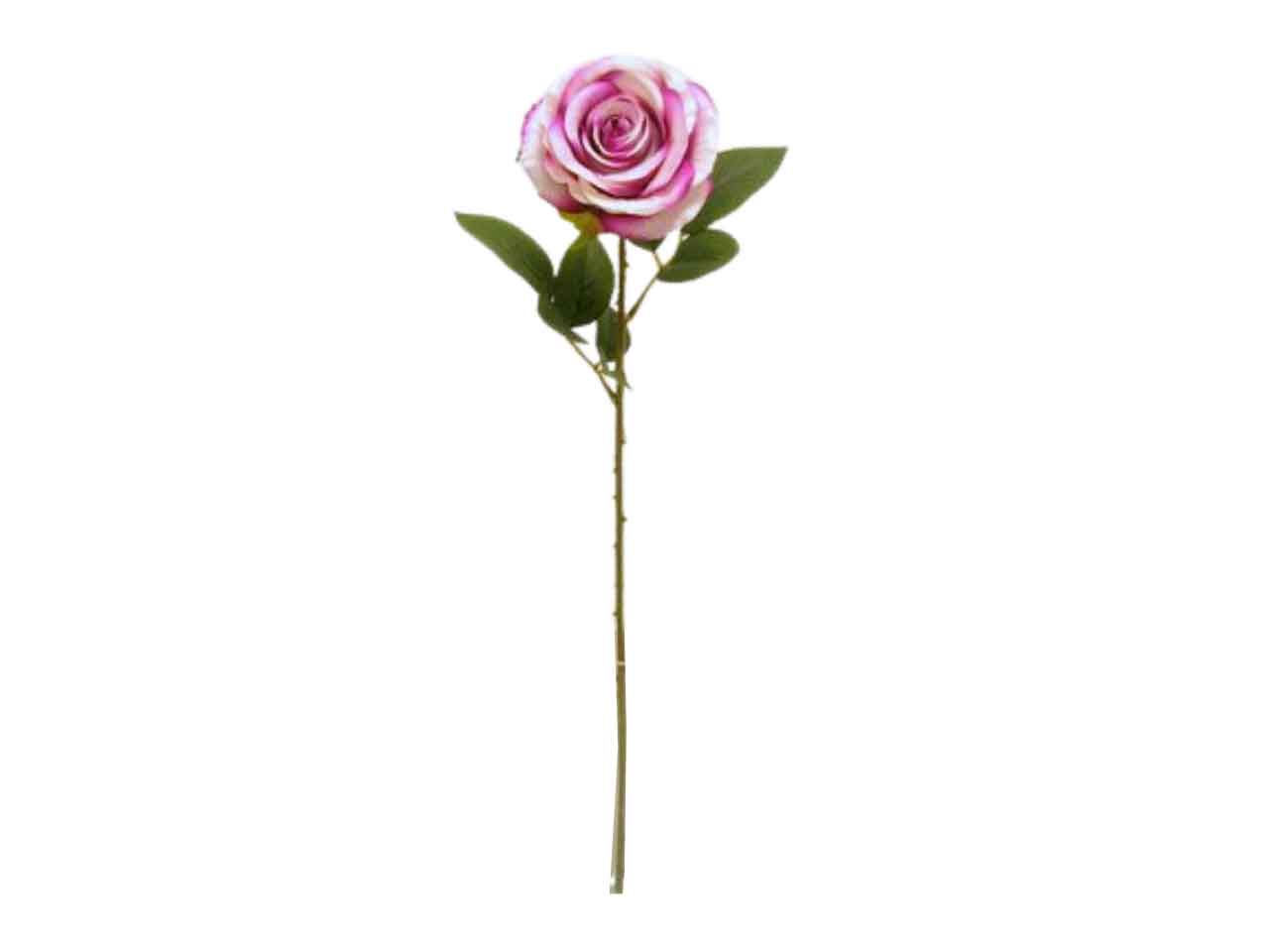 Rosa singola 65cm fucsia ds002039