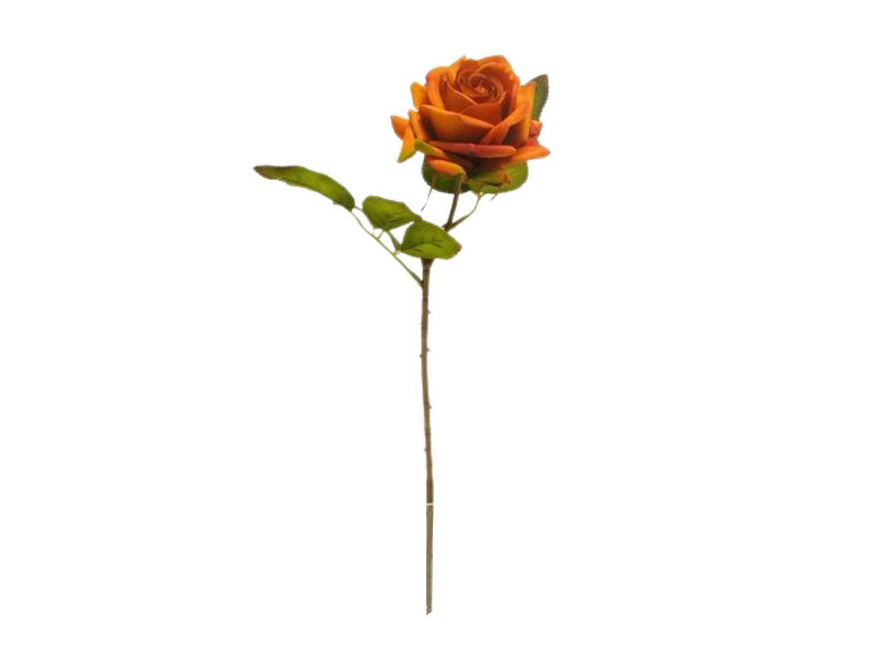 Rosa spruzzata 62cm arancio da000449