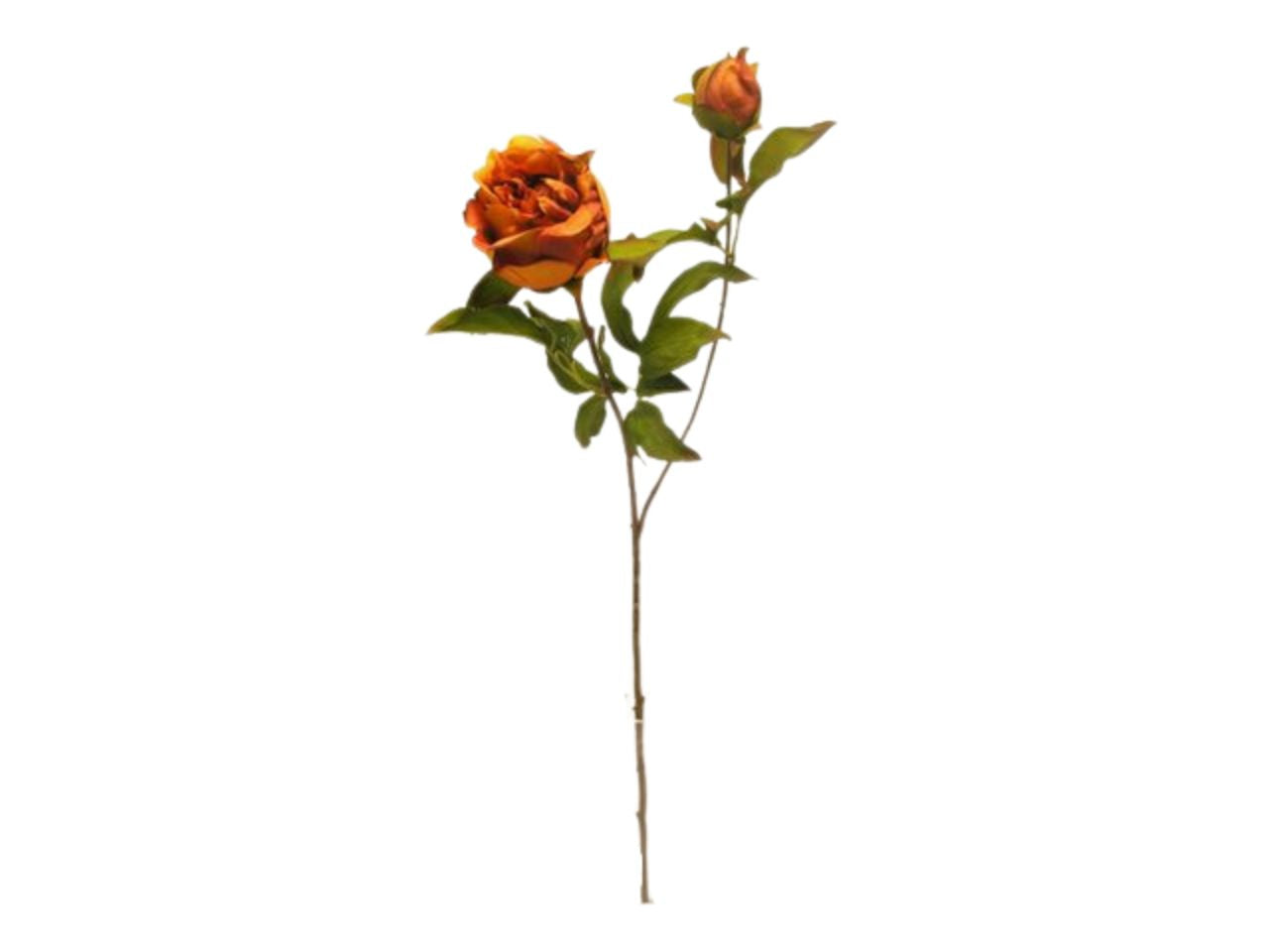 Peonia spruzzata 63cm arancio da000453