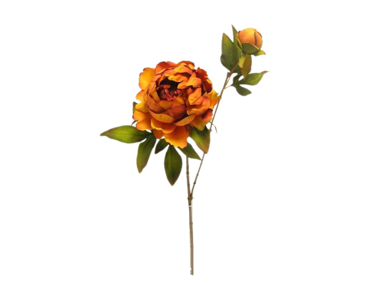 Peonia spruzzata 73cm arancio da000454