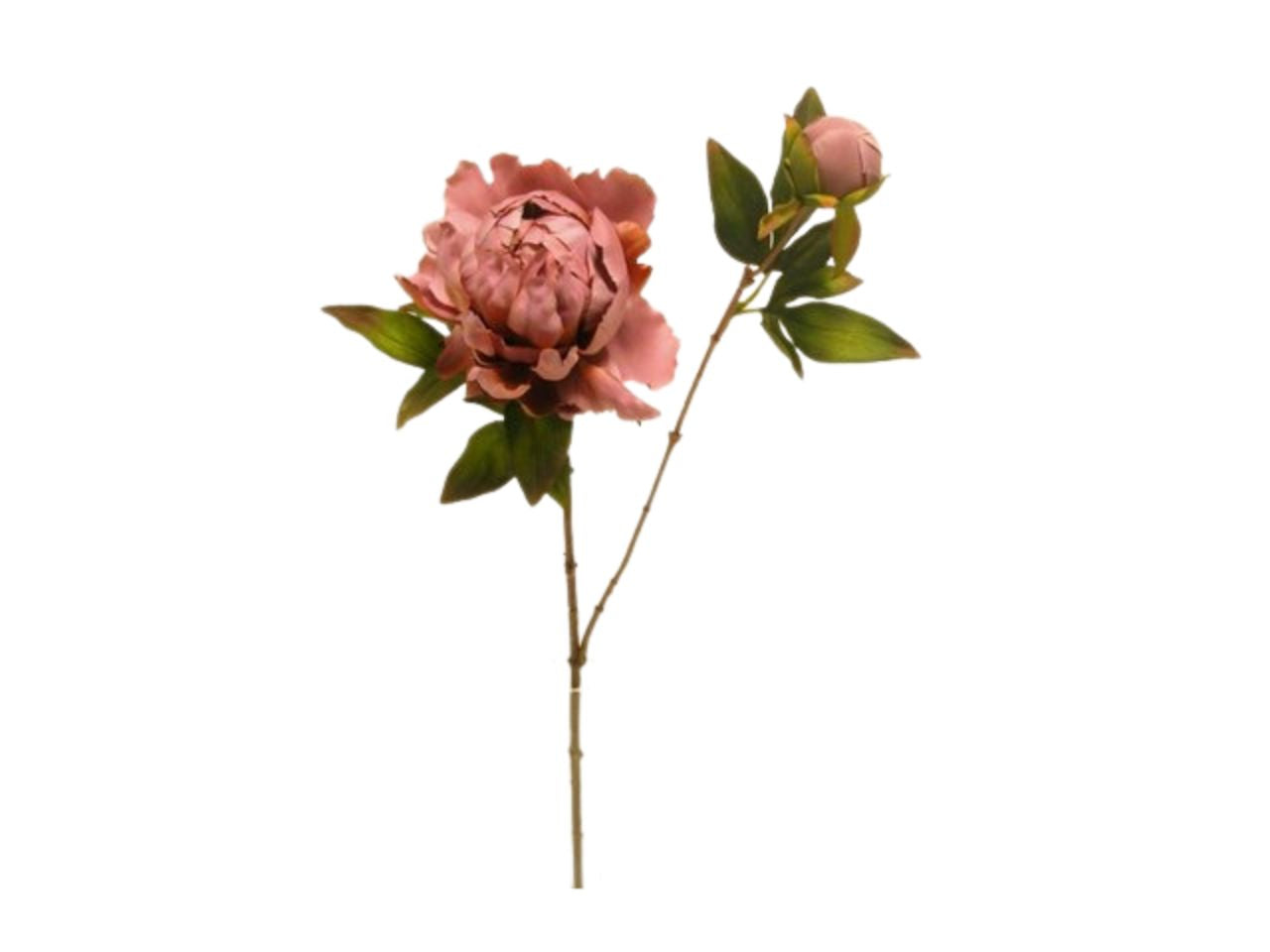 Peonia spruzzata 73cm corallo da000454