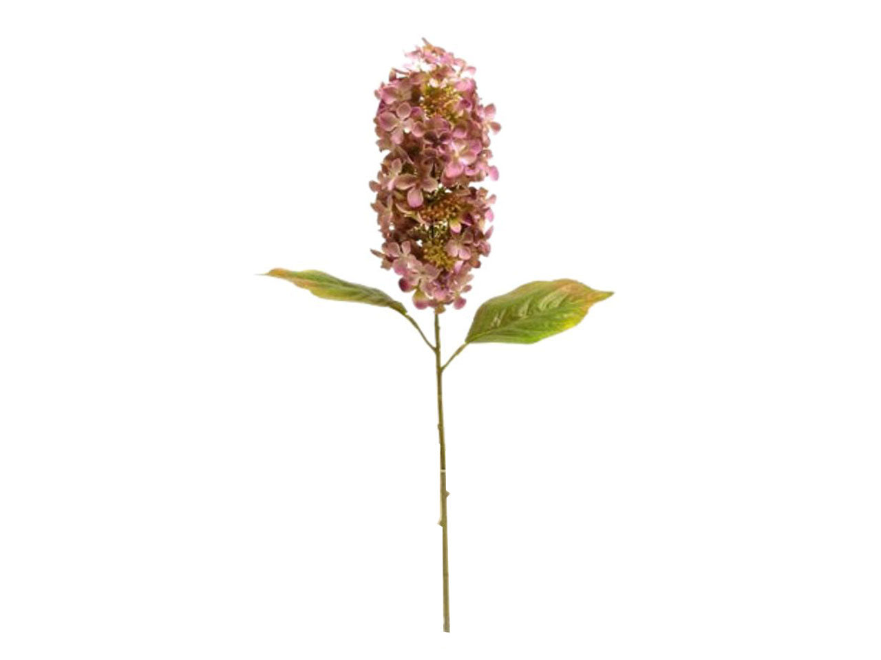 Lilla' spruzzata 65cm mauve da000344