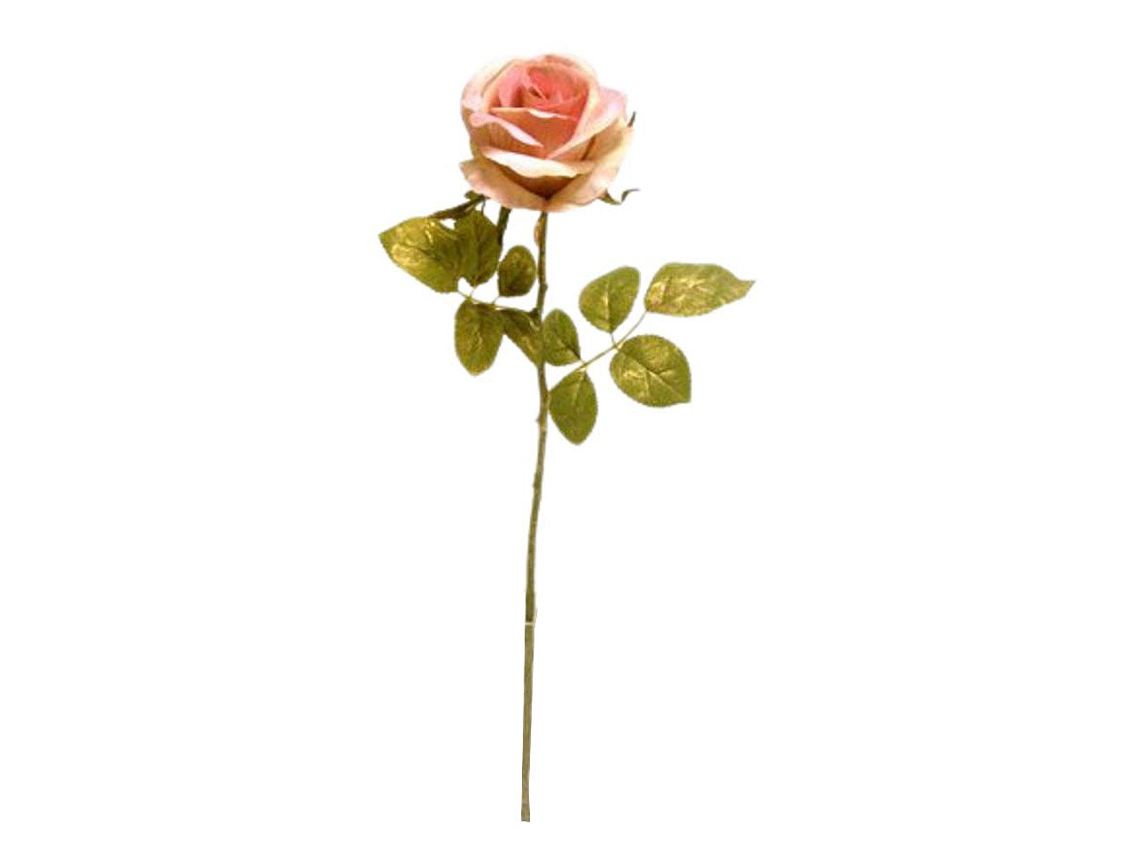 Rosa singola spruzzata 68cm avorio