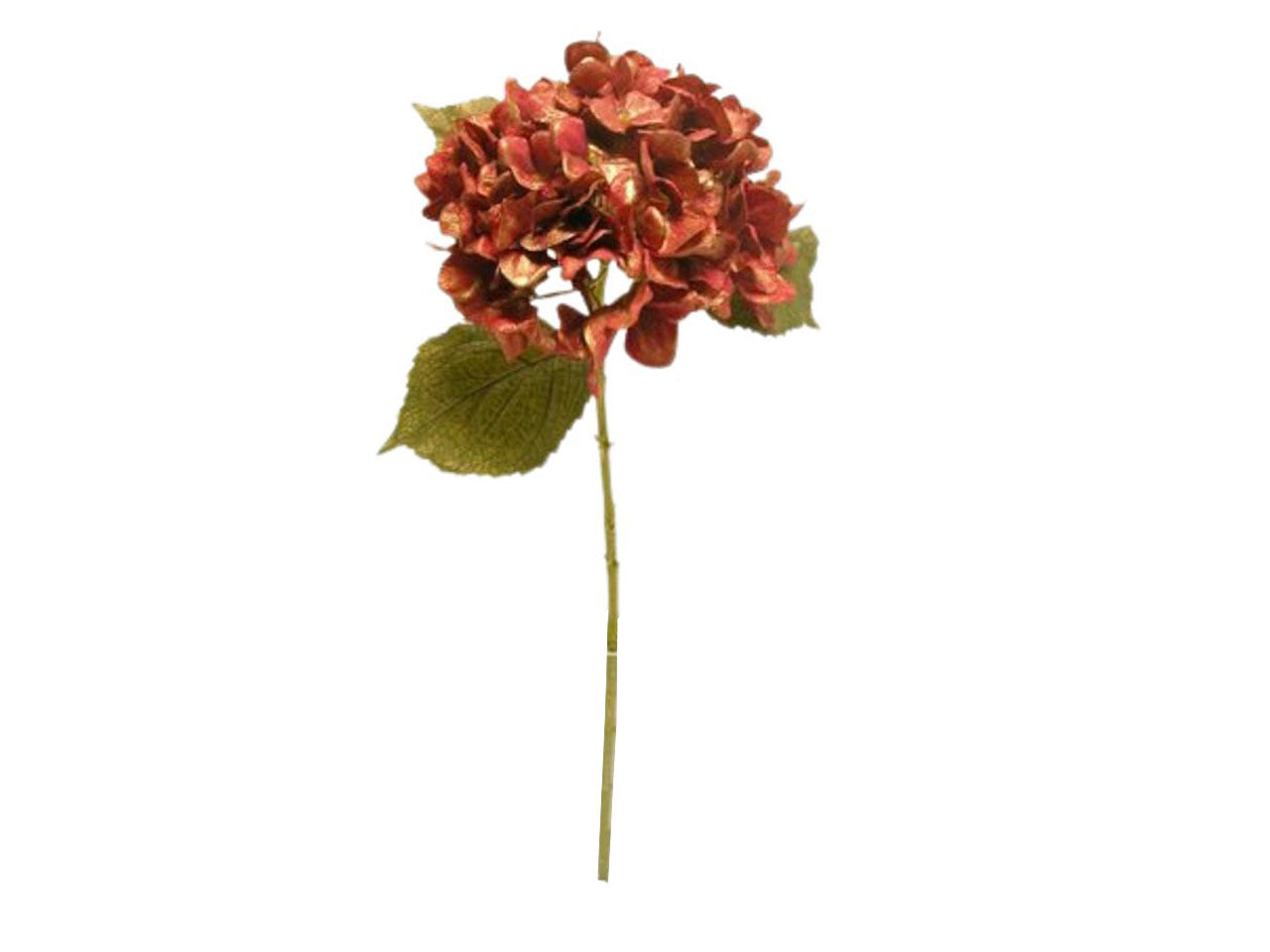 Ortensia singola spruzzata 63cm rossa