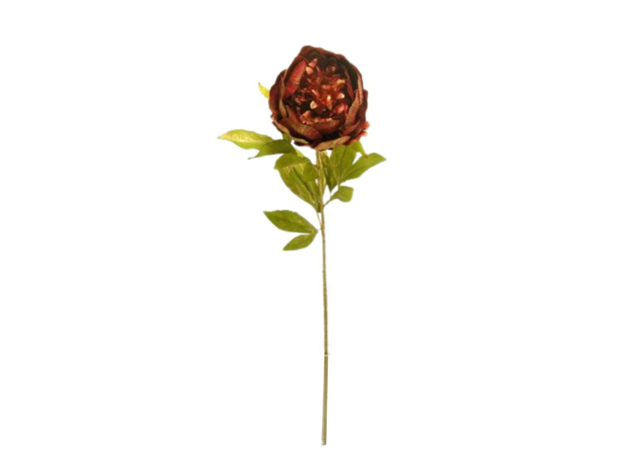Peonia singola spruzzata 76cm rossa