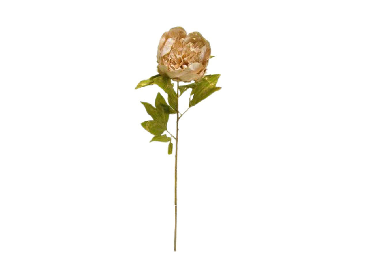 Peonia singola spruzzata 76cm avorio