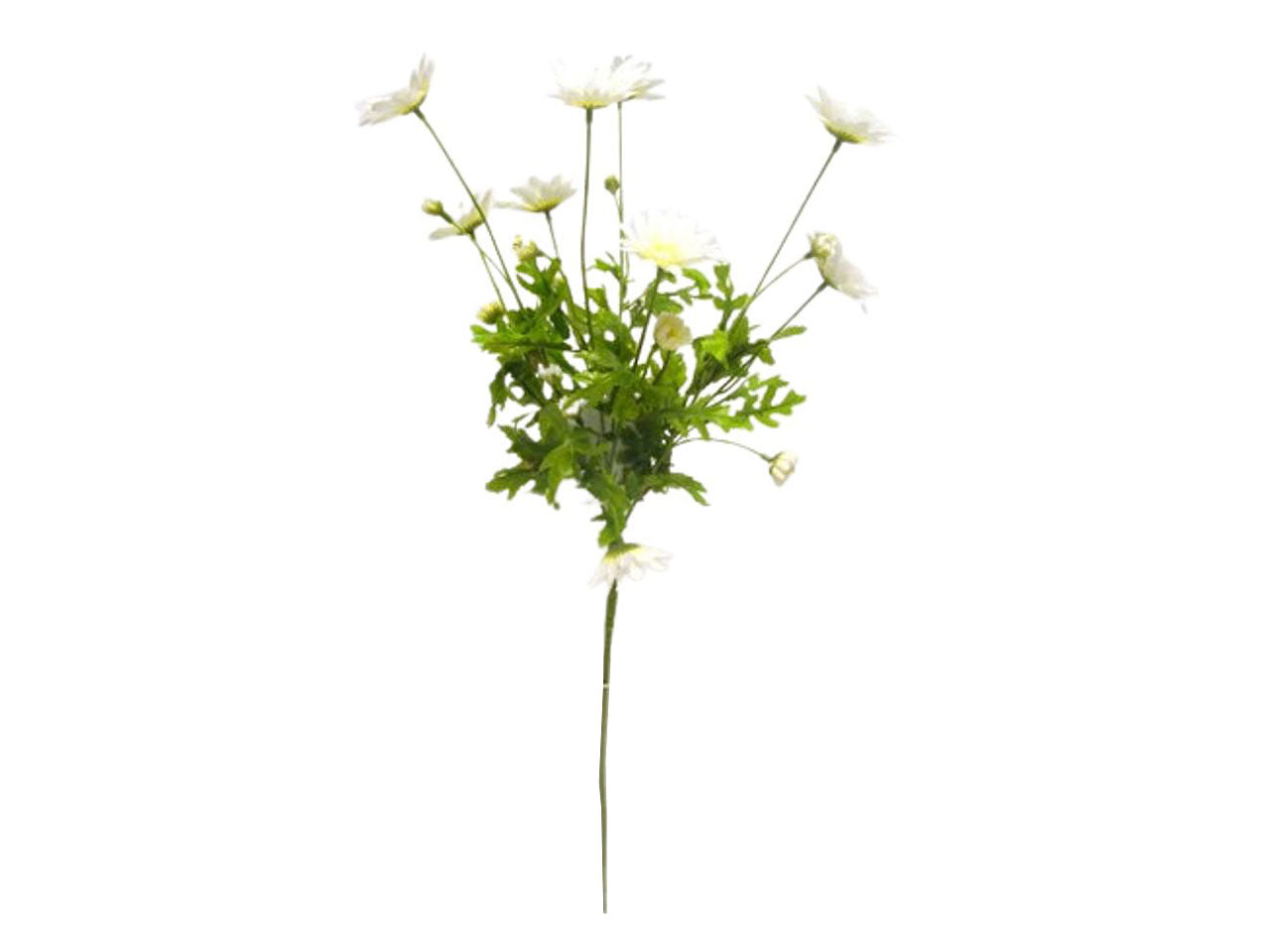 Margherita spruzzata x 4 colore crema 65cm