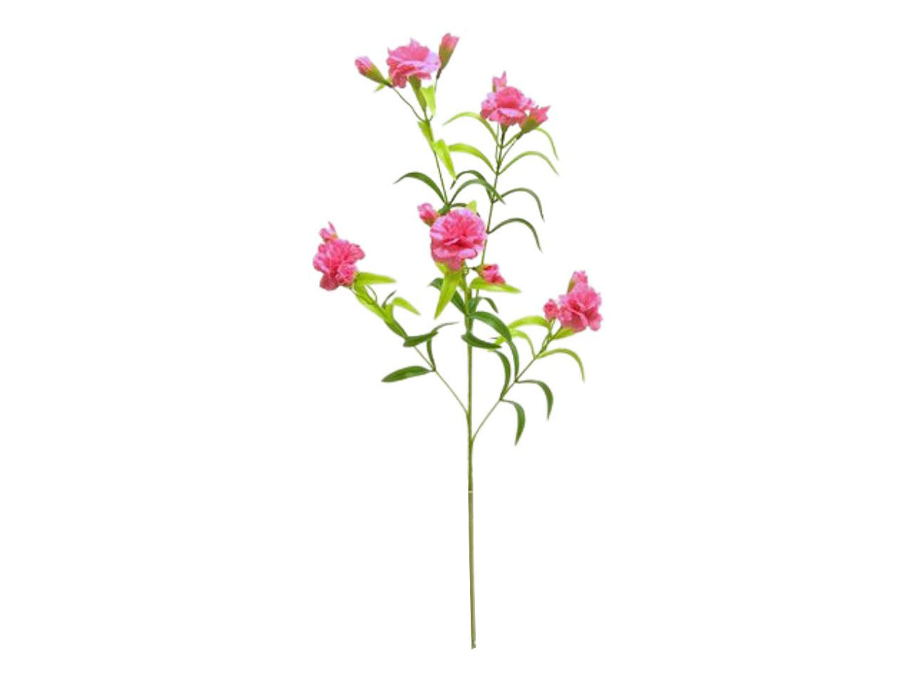 Garofano spruzzato con 5 fiori e 5 gemme colore rosa 70cm
