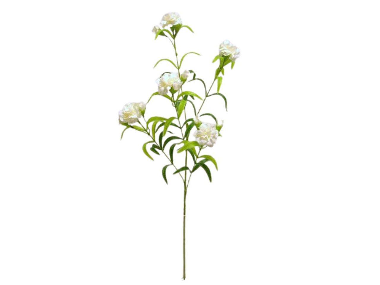 Garofano spruzzato con 5 fiori e 5 gemme colore crema 70cm