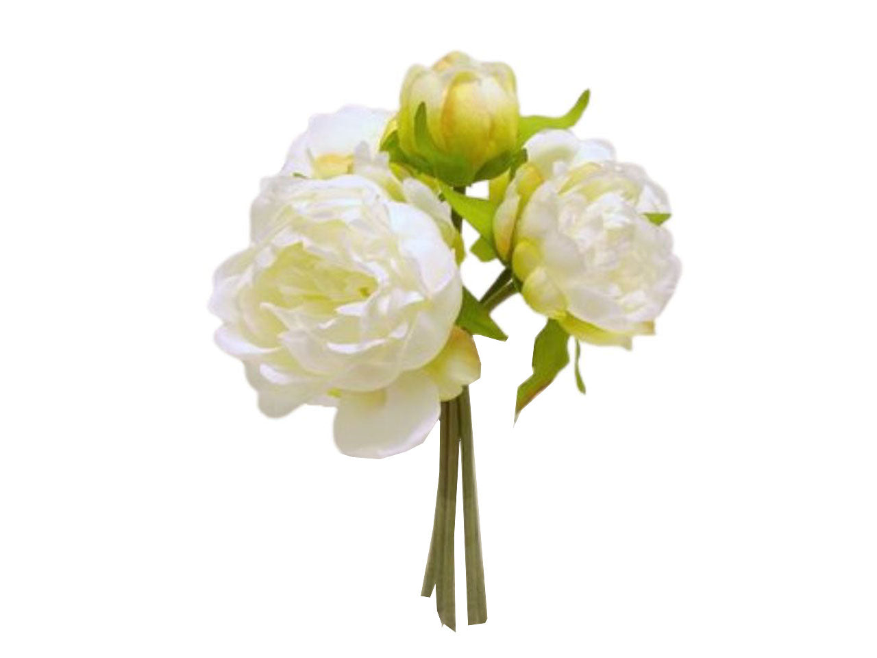 Mazzo di peonia colore crema 28cm
