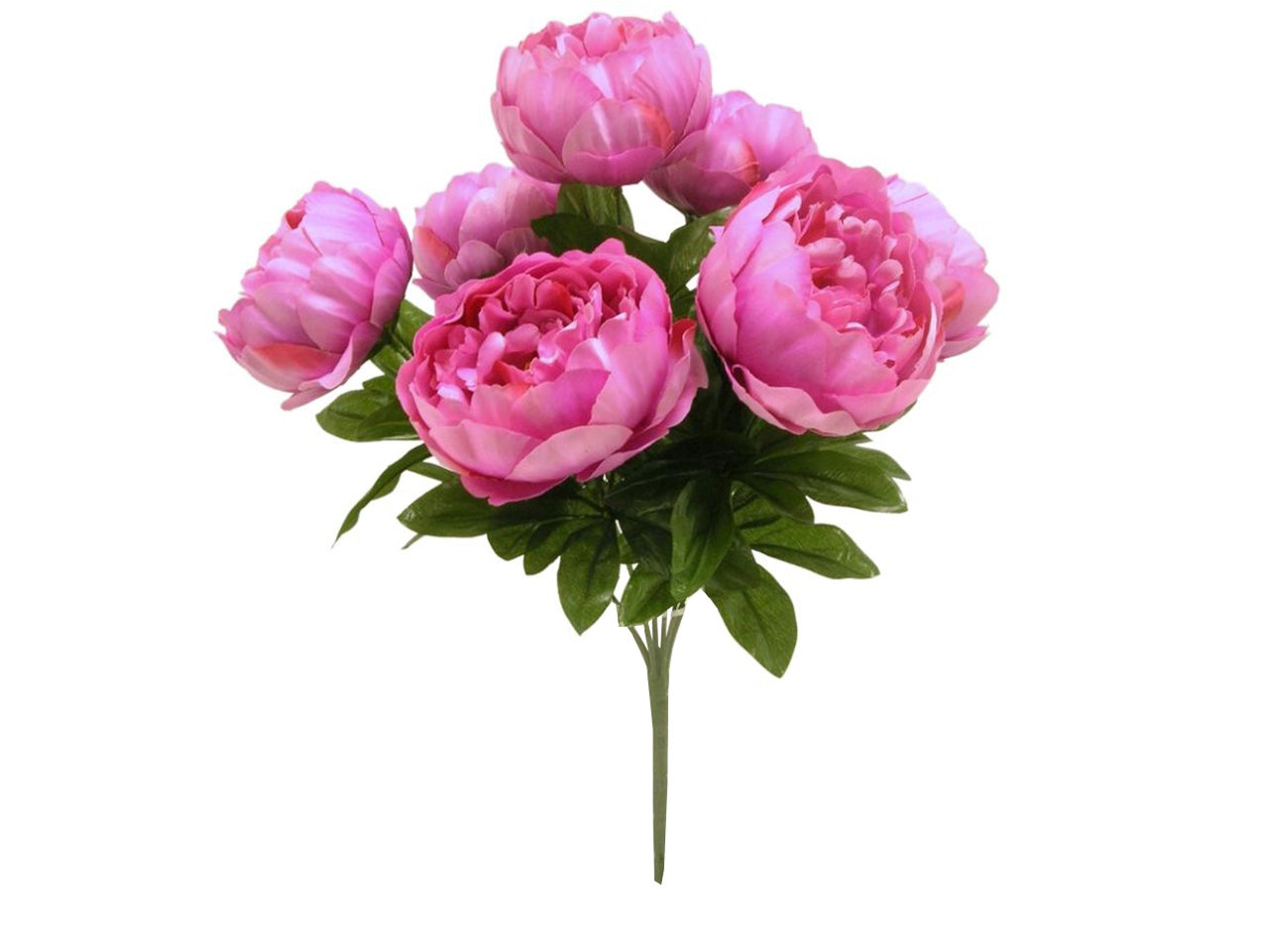 Mazzo di peonie x 7 misura 45cm colore fuxia