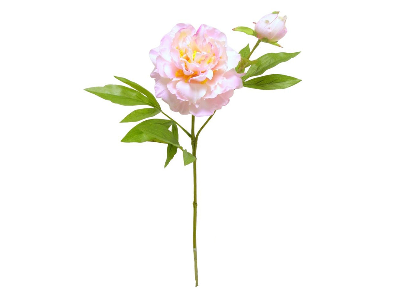 Fiore di peonia spruzzato x 2 misura 60cm colore rosa