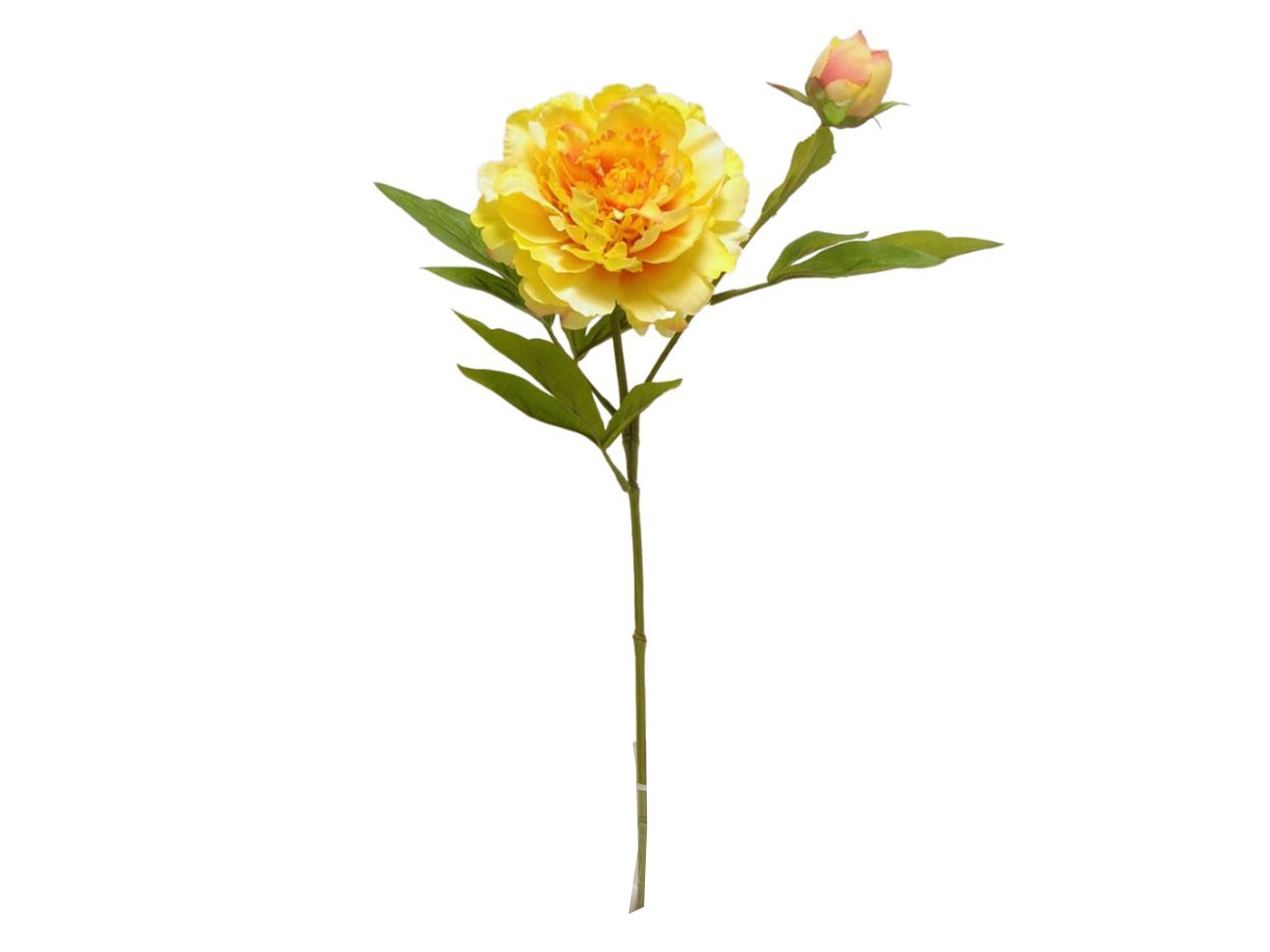 Fiore di peonia spruzzato x 2 misura 60cm colore giallo