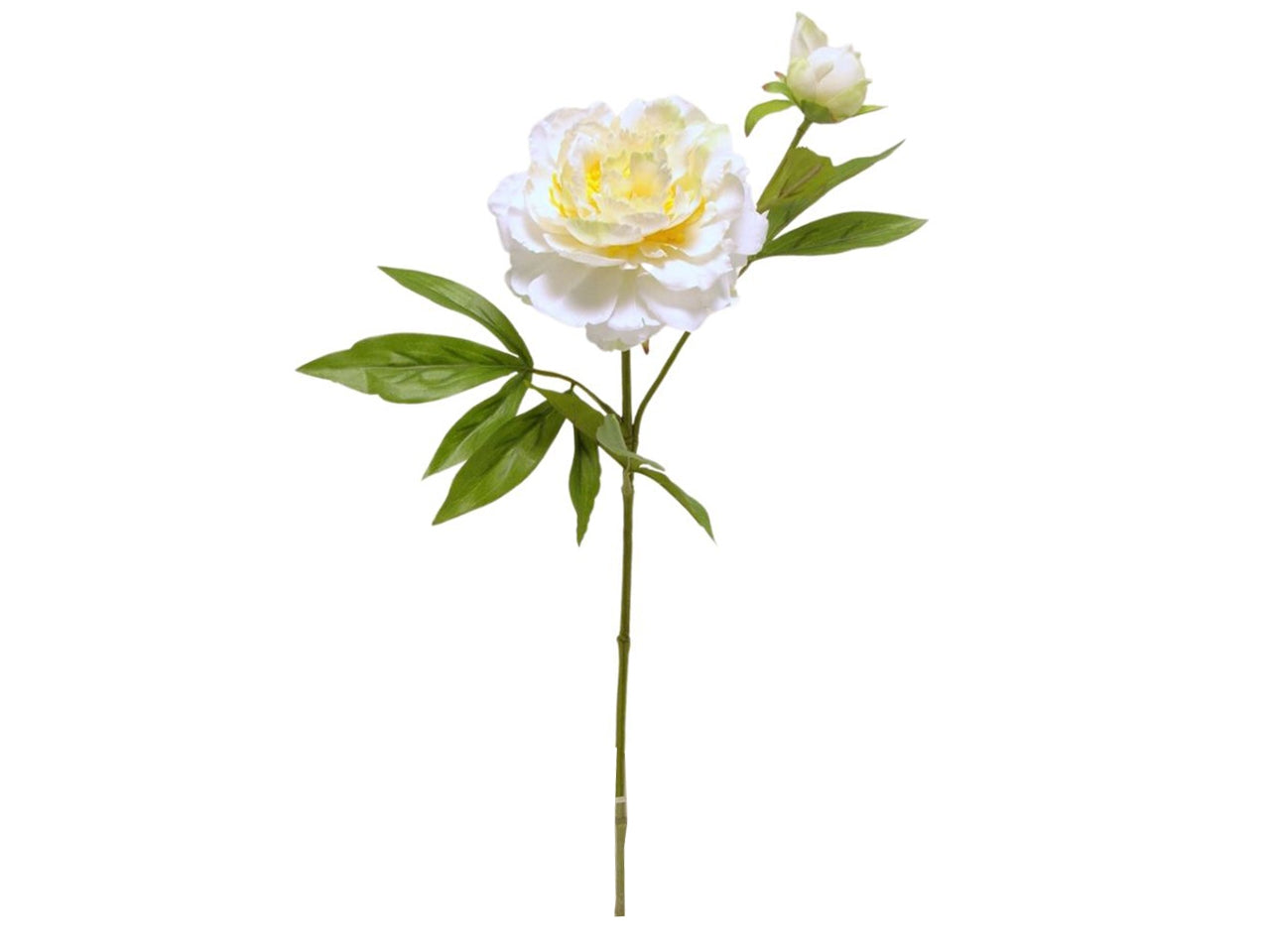 Fiore di peonia spruzzato x 2 misura 60cm colore crema