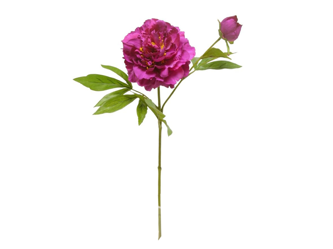 Fiore di peonia spruzzato x 2 misura 60cm colore fuxia