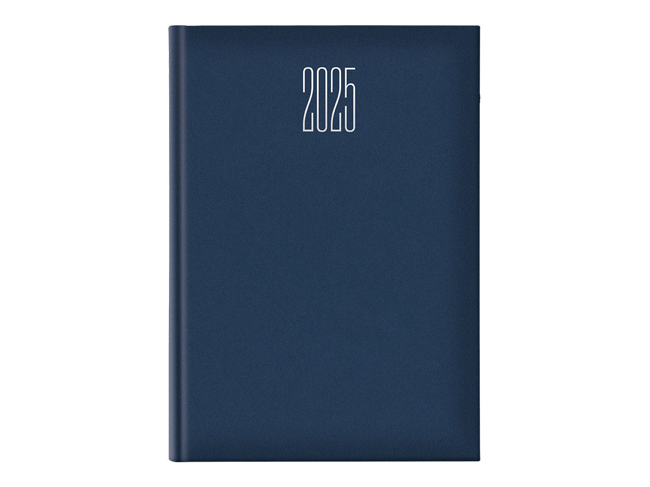 Agenda 21x29,7 giornaliera gommata blu