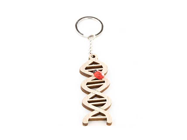 P.chiavi laurea dna h.8cm rb830/c