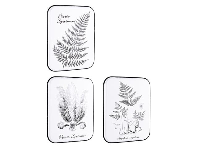Placca metallo 43x52cm 0181712 $