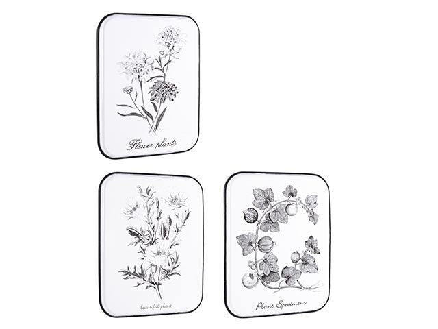 Placca metallo 43x52cm 0181713