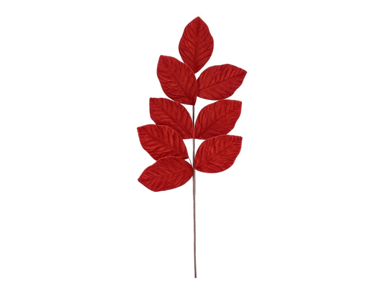 Ramo ertemios 10xh.70cm con foglie rosse