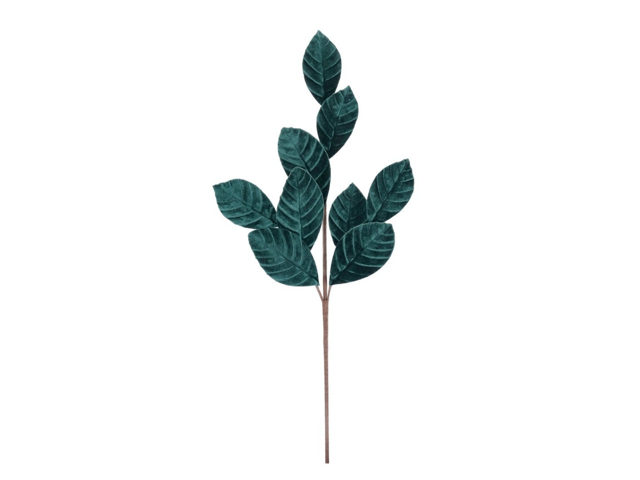 Ramo ertemios 15xh.67cm con foglia verde