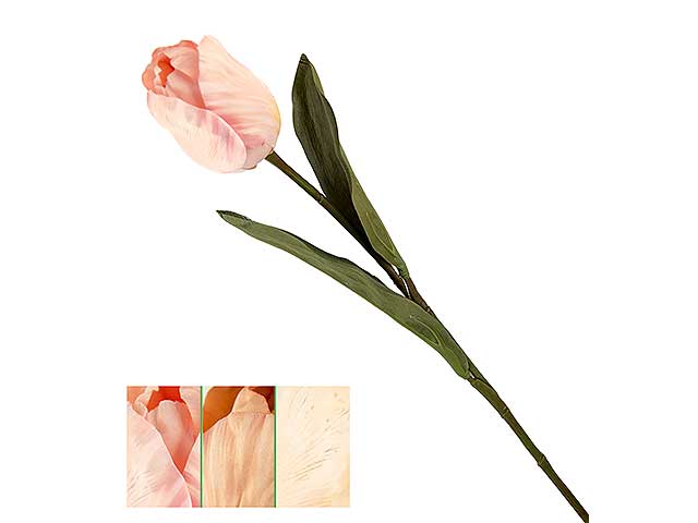 Tulipano big nin 42636