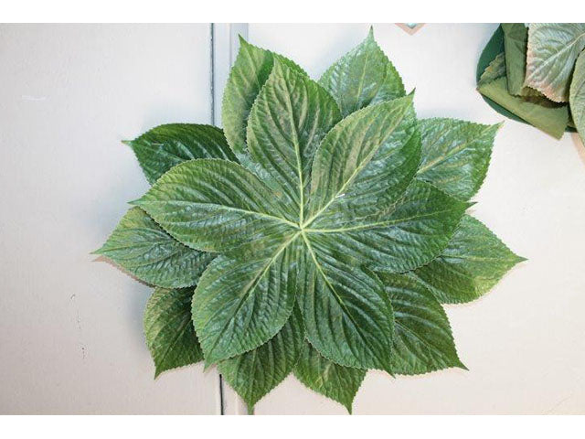 Otrensia verde 1030001601