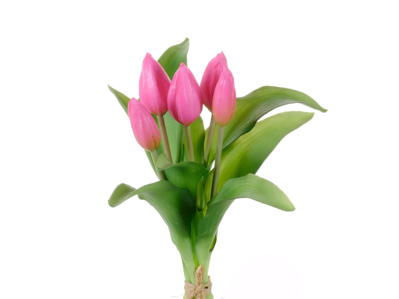 Mazzo di 5 tulipani h.29cm beauty