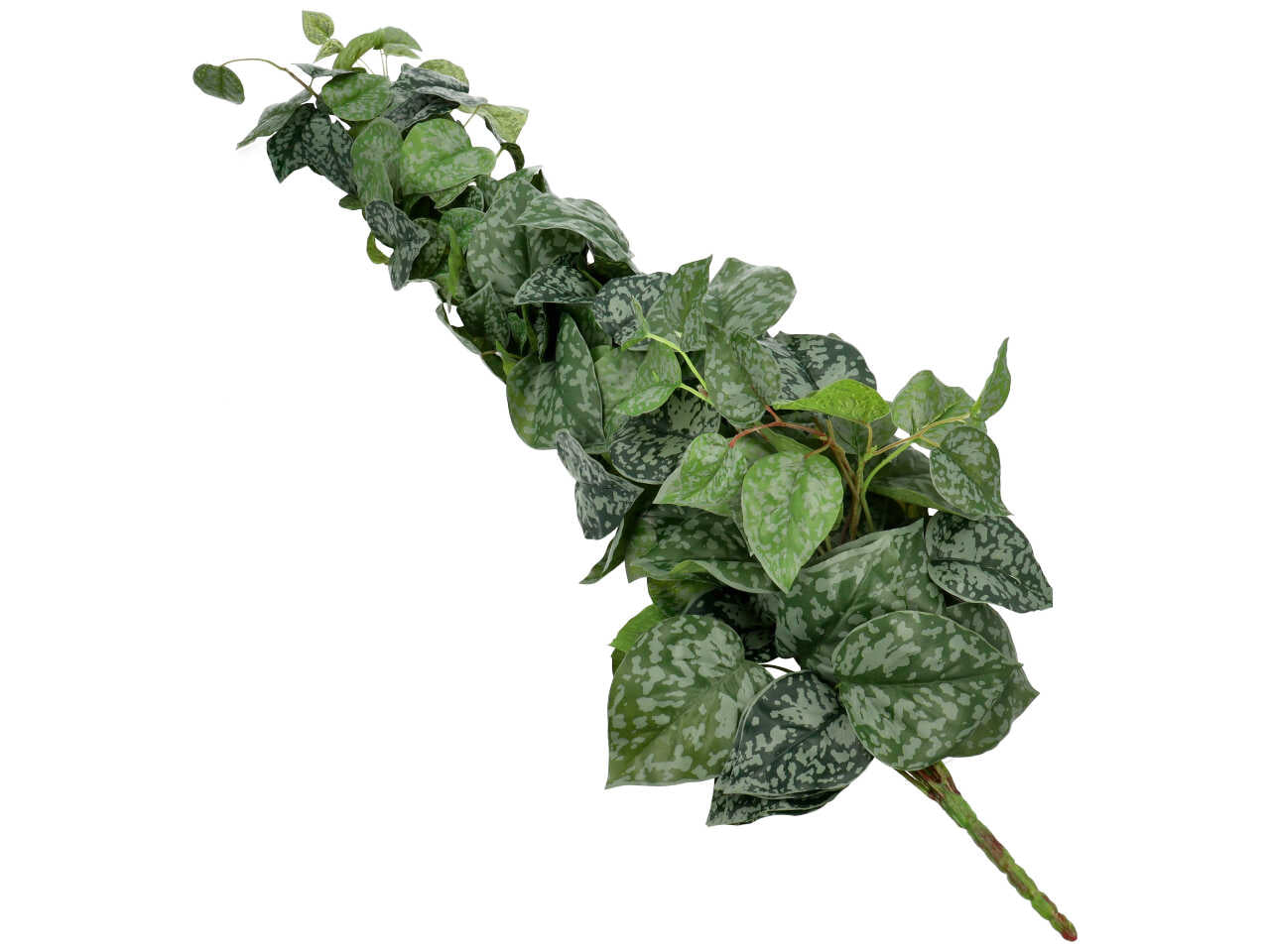Cespuglio di vite scindapsus con 230 foglie misura 100cm colore verde e grigio