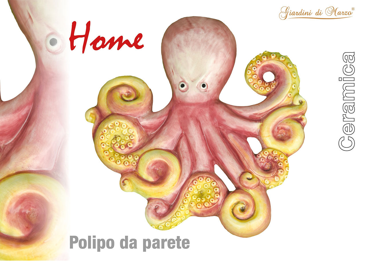 Polipo grande da parete con scatola