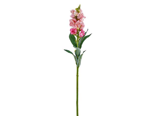 Boccadileone rex ramo h59 rosa 212965,5