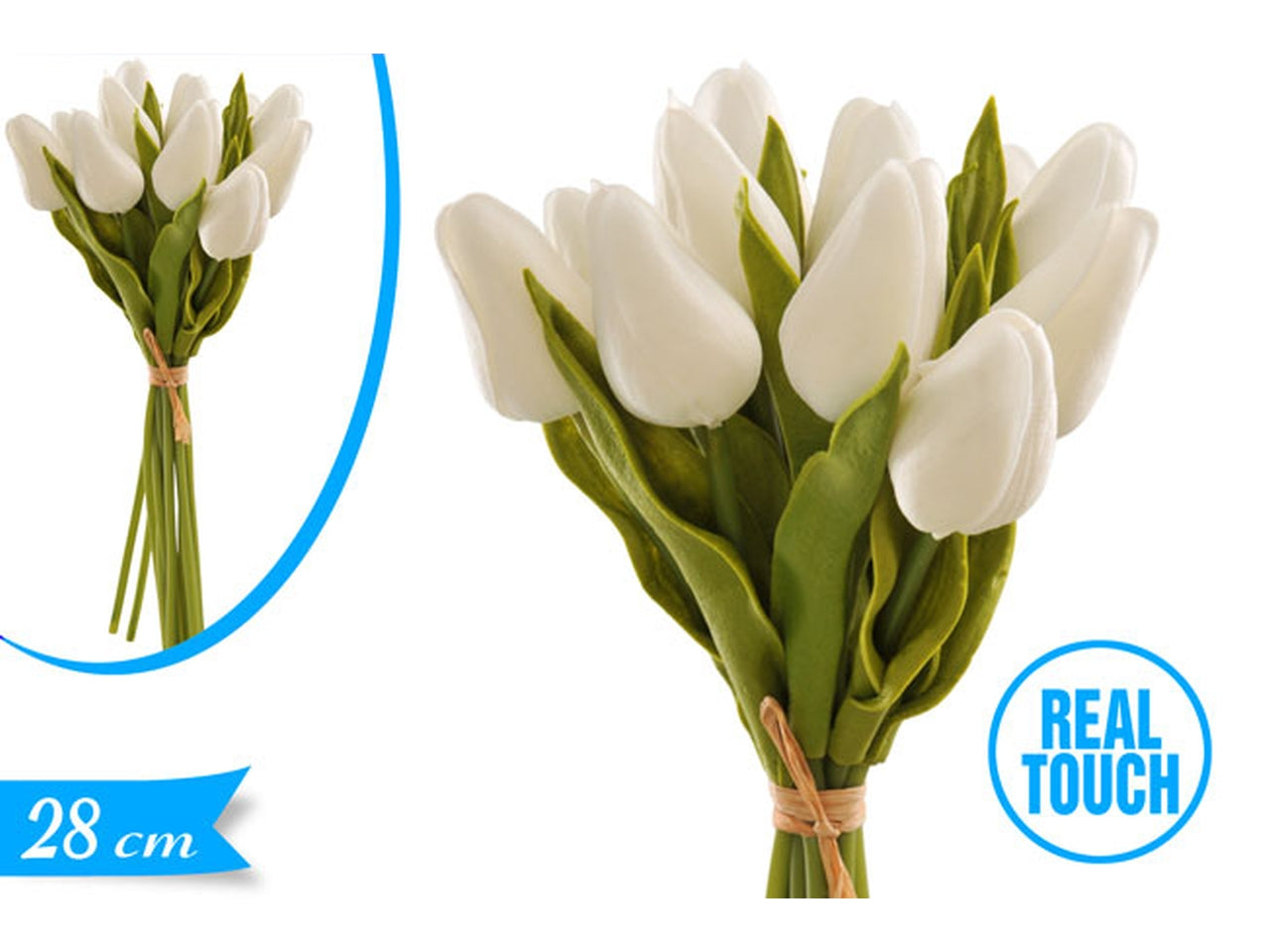 Tulipano gomma mazzetto bianco