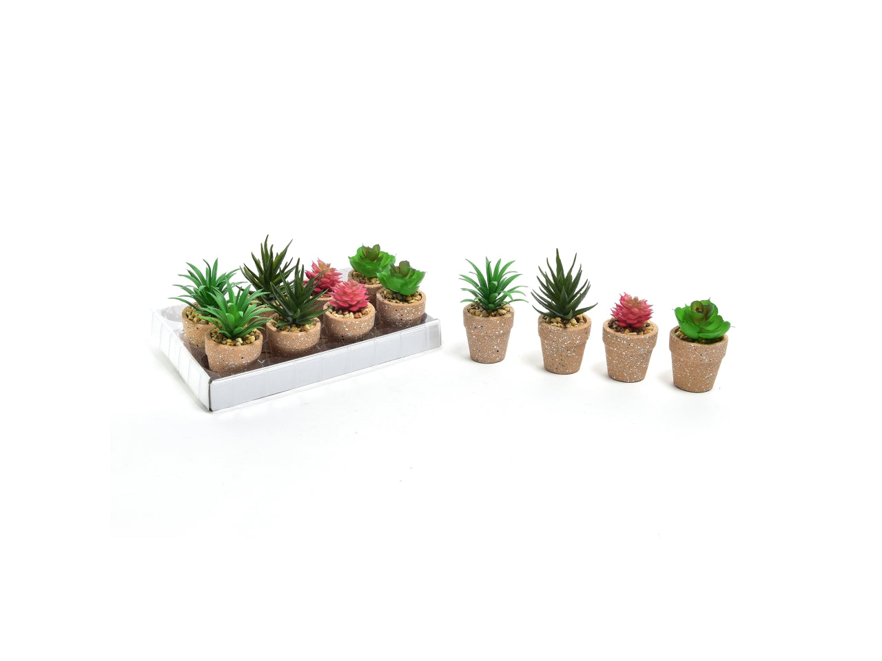 Piantina grassa in vaso di cemento 5x5x12 cm - M Home