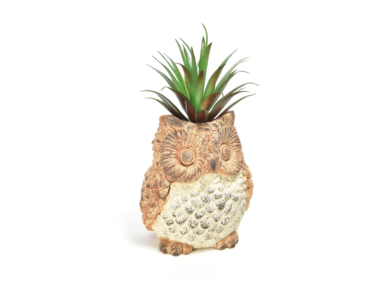 Piantina grassa in vaso di cemento a forma di gufo 11,5x9,5x22 cm - M Home