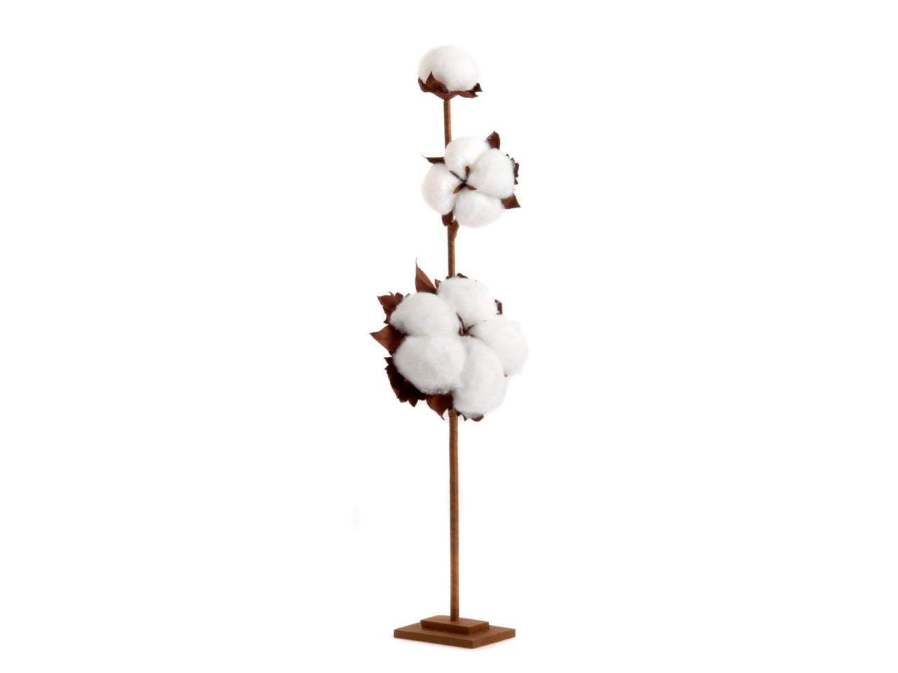 Stelo fiori di cotone con base 45x12x130cm