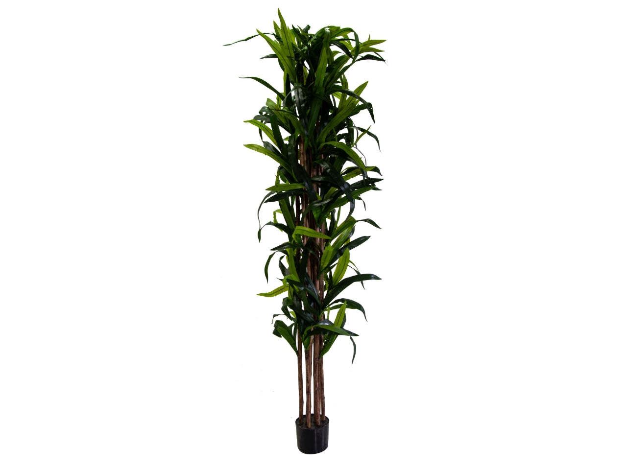 Pianta Dracaena artificiale da interno con vaso fondo cemento 198 cm - Vacchetti