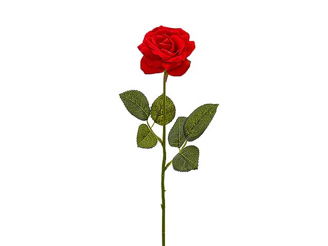 Rosa velevet 43cm 213828.40