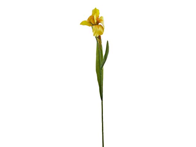 Iris eden ramo h.56 giallo 213886,20