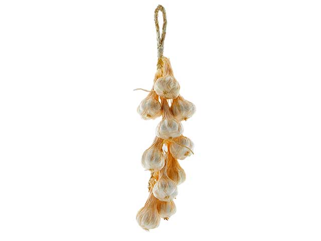 Treccia aglio x10 h.50 250411,10